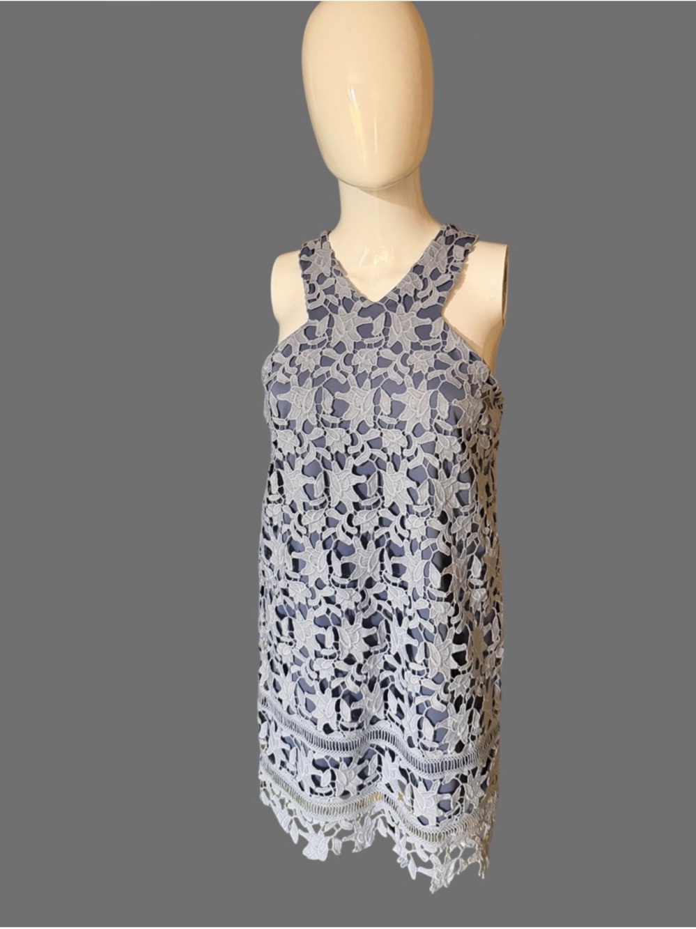 GBX Light Blue Floral Lace Sleeveless Mini Dress